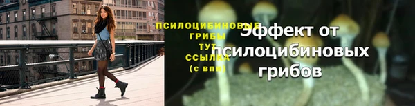 PSILOCYBIN Алексеевка