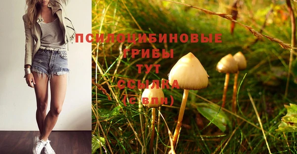 PSILOCYBIN Алексеевка
