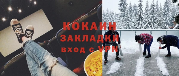 ECSTASY Алзамай