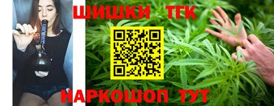крисы Малгобек