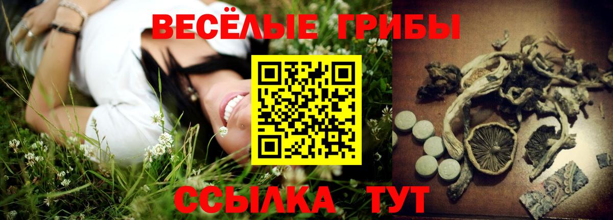Псилоцибиновые грибы MAGIC MUSHROOMS Тольятти