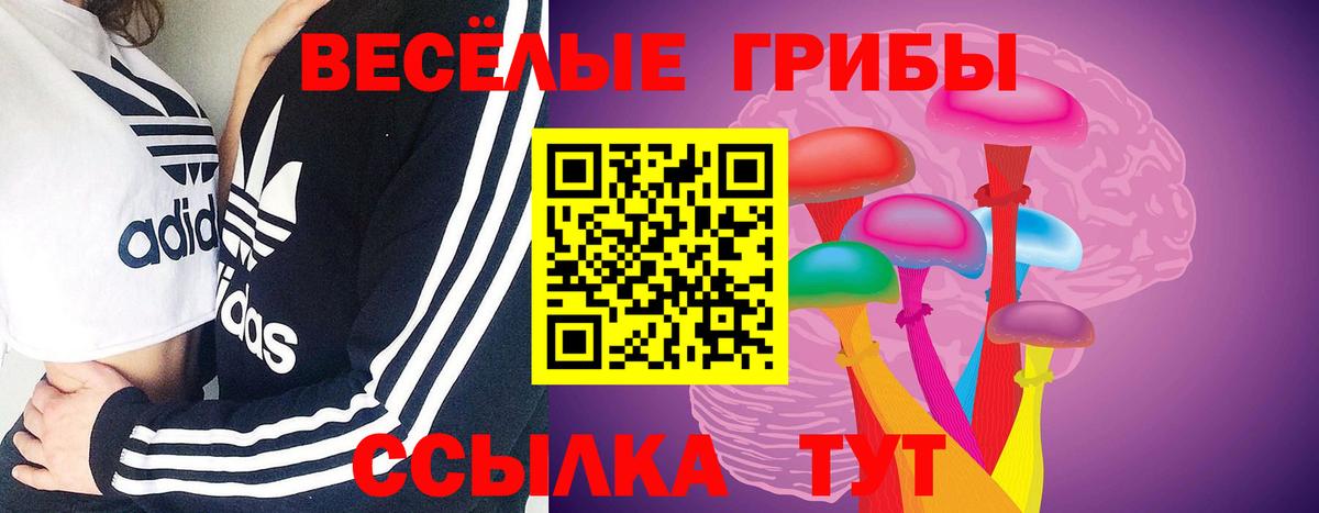 Тольятти  Галлюциногенные грибы мицелий  купить закладку  Вход с VPN 
